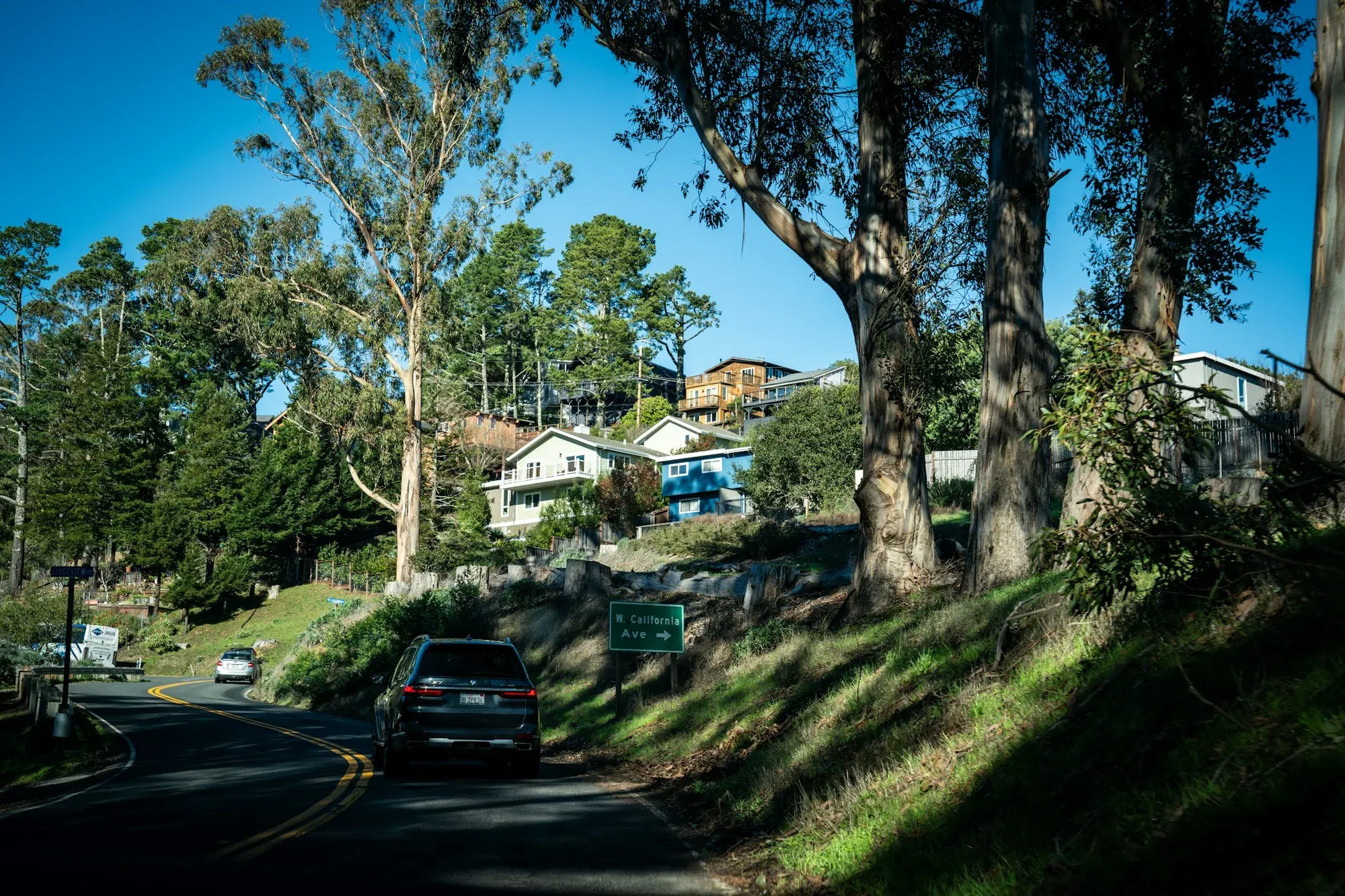 Coastal road winding past hillside homes under eucalyptus trees